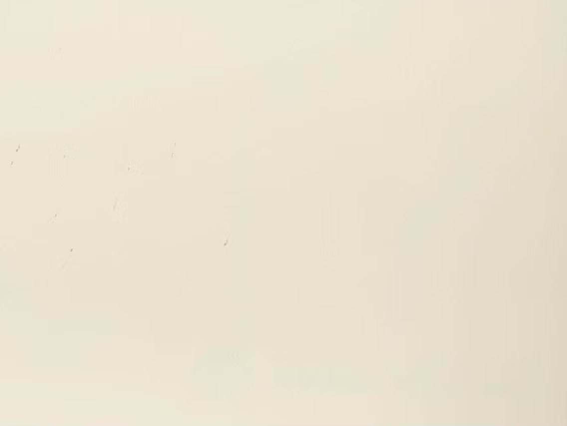STWS-0003 奶油黄（高光 / 哑光）