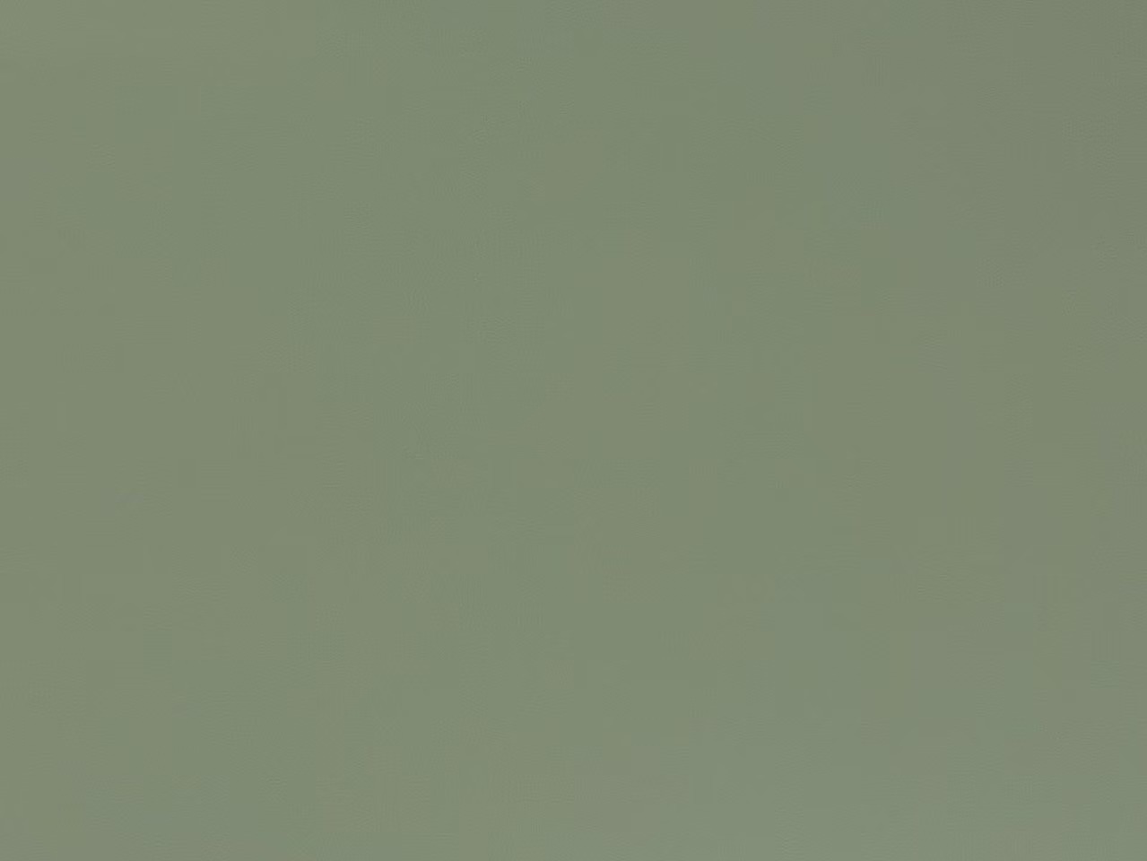 STWS-0009 橄榄绿 （高光 / 哑光）