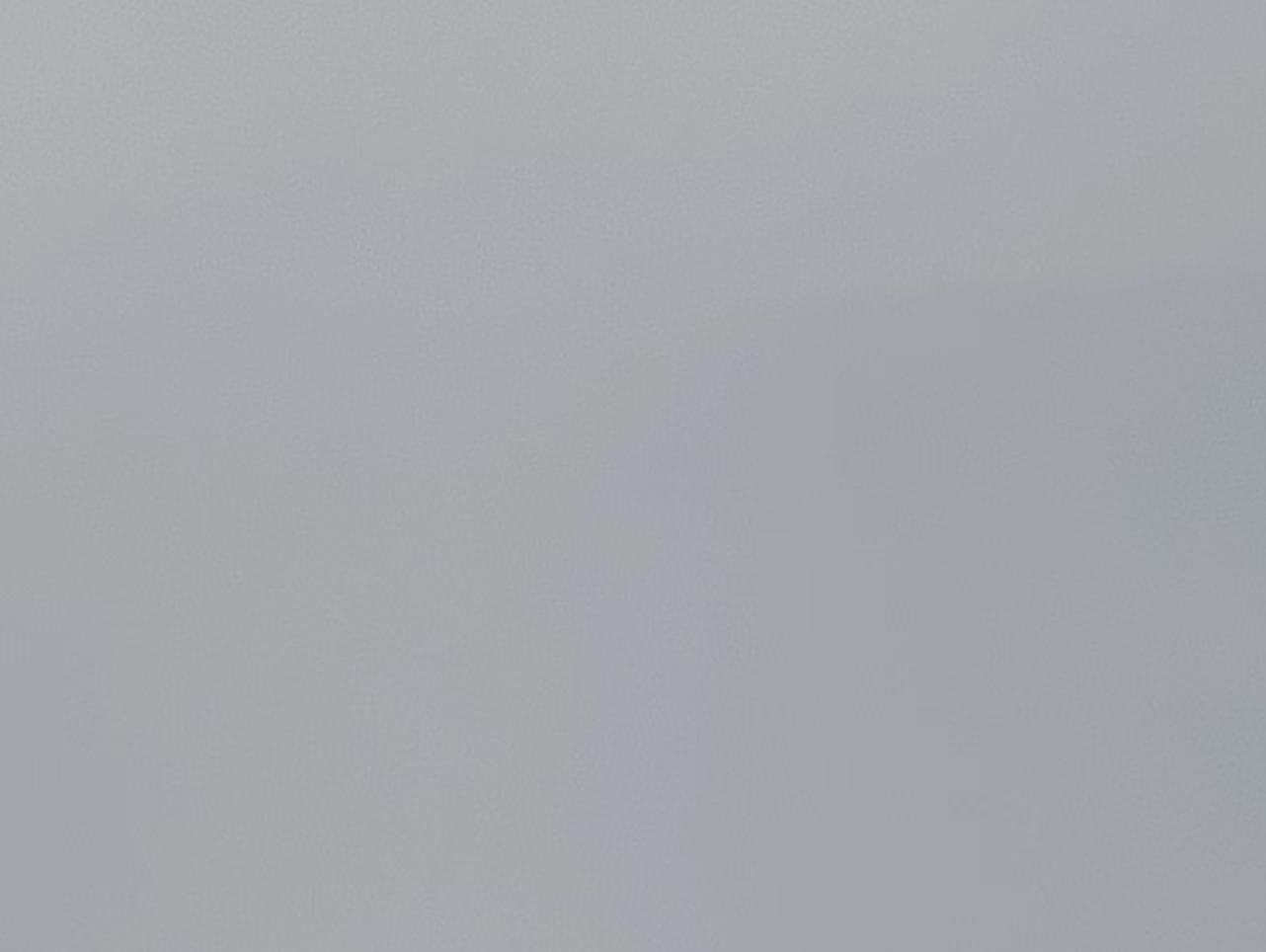 STWS-0025 晨曦兰 （高光 / 哑光）