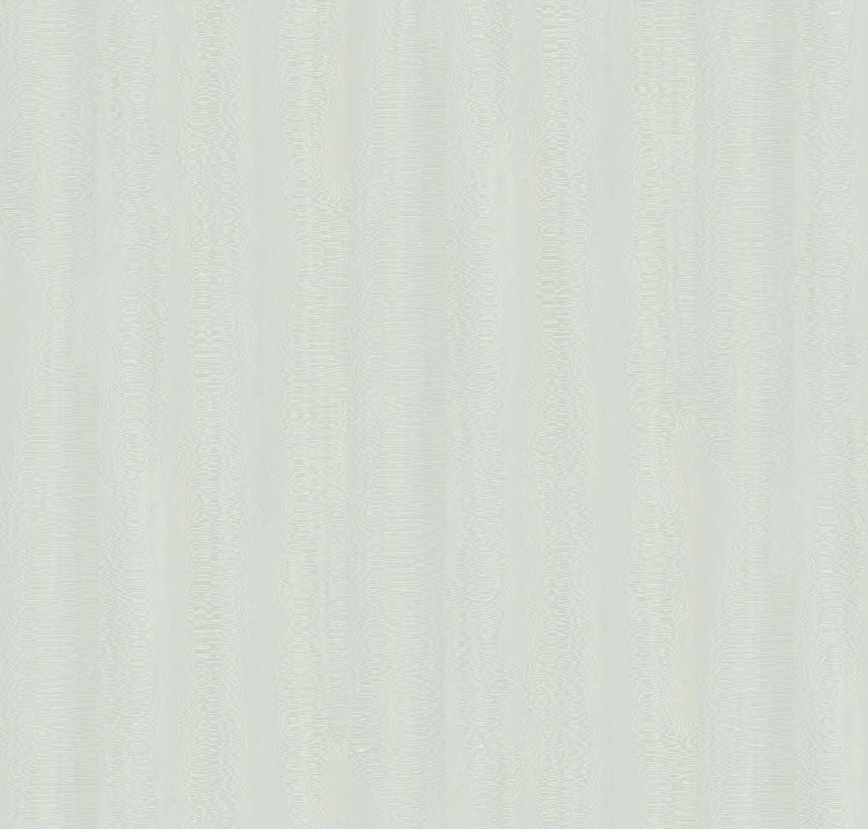 W501G 尼斯高光 白